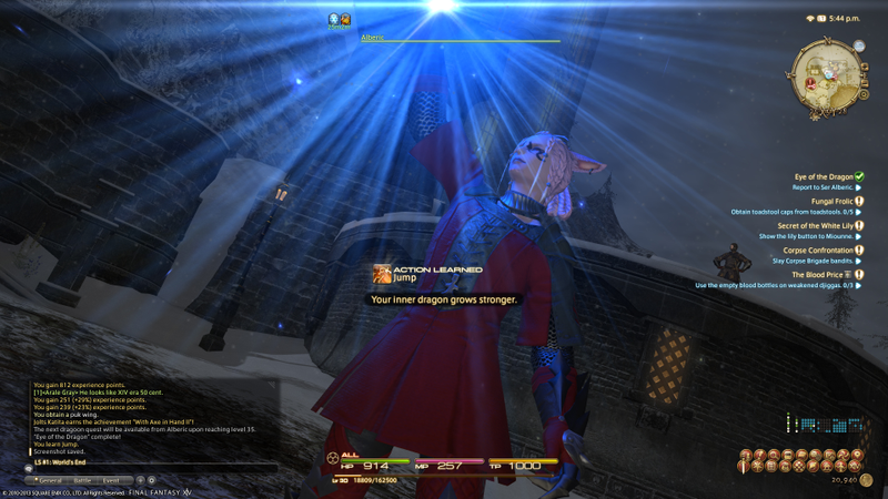 Illustration for article titled Final Fantasy XIV MMO Log Three: Play Us Out, PlayStation 3